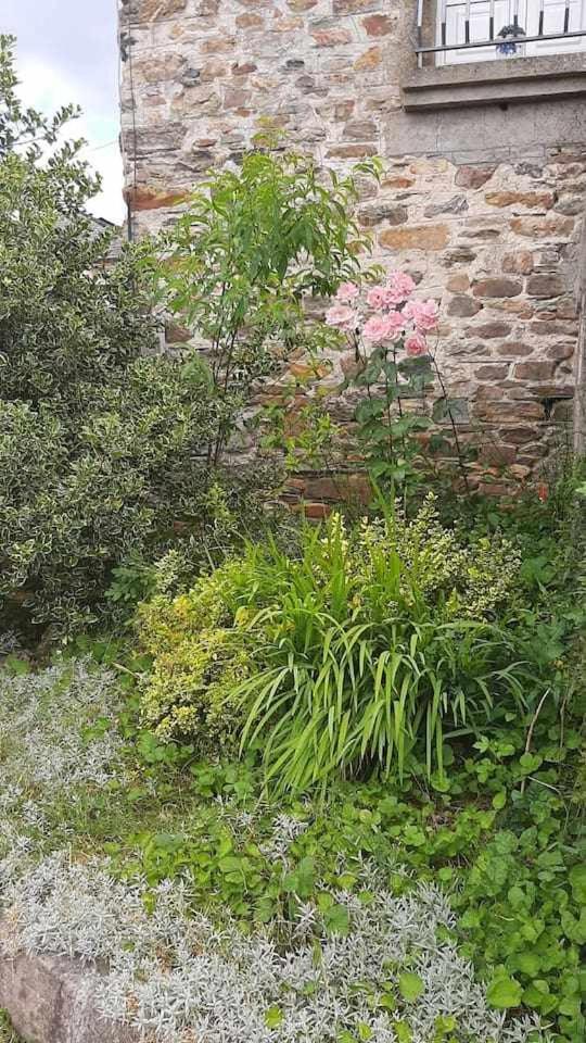 Casa Do Hiebra Alojamiento Rural Ribeira Sacra Castroncelos 外观 照片
