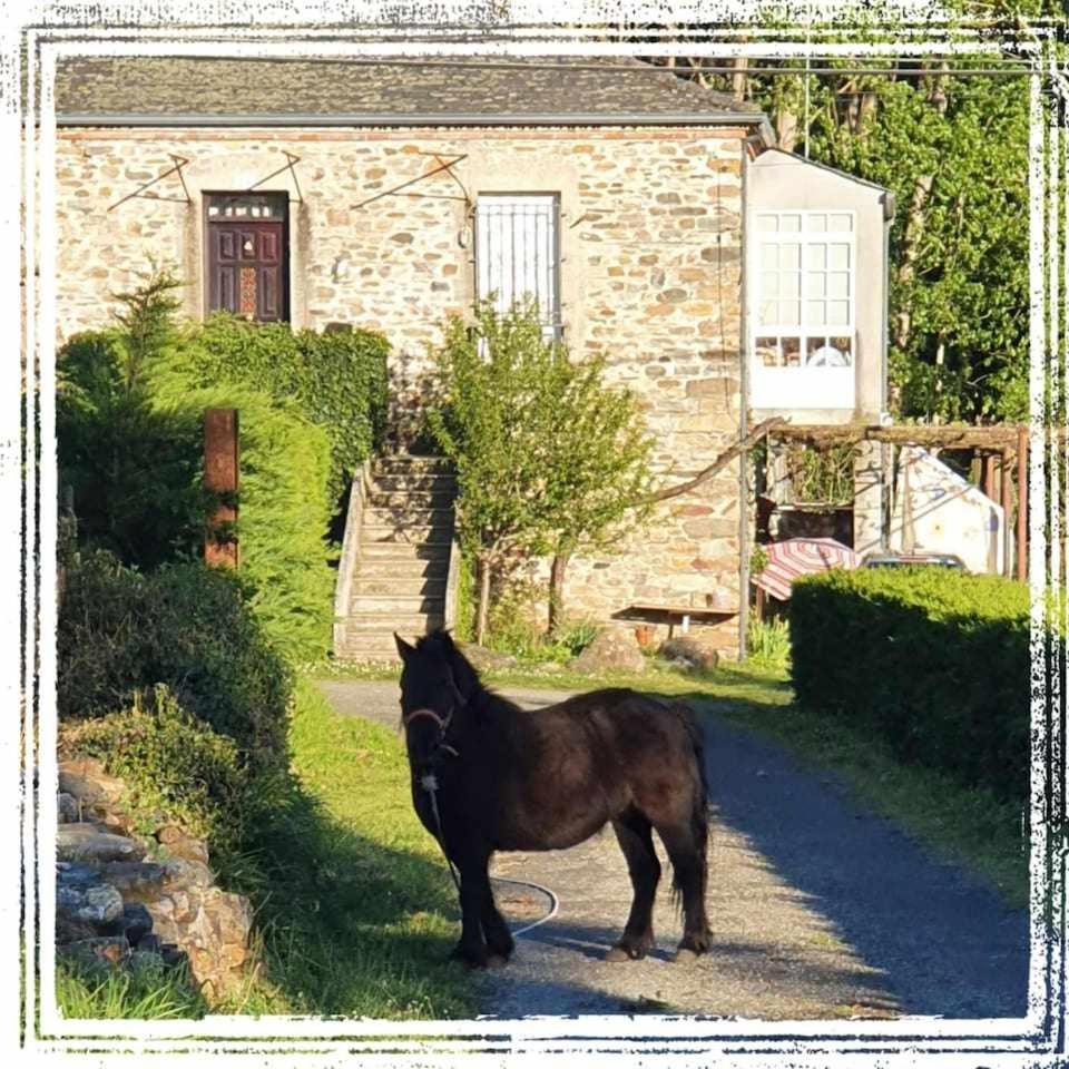 Casa Do Hiebra Alojamiento Rural Ribeira Sacra Castroncelos 外观 照片