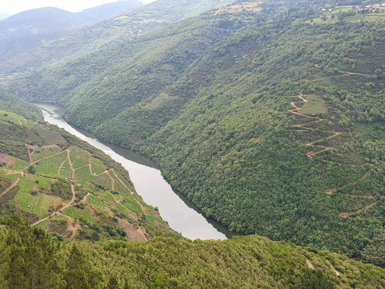 Casa Do Hiebra Alojamiento Rural Ribeira Sacra Castroncelos 外观 照片