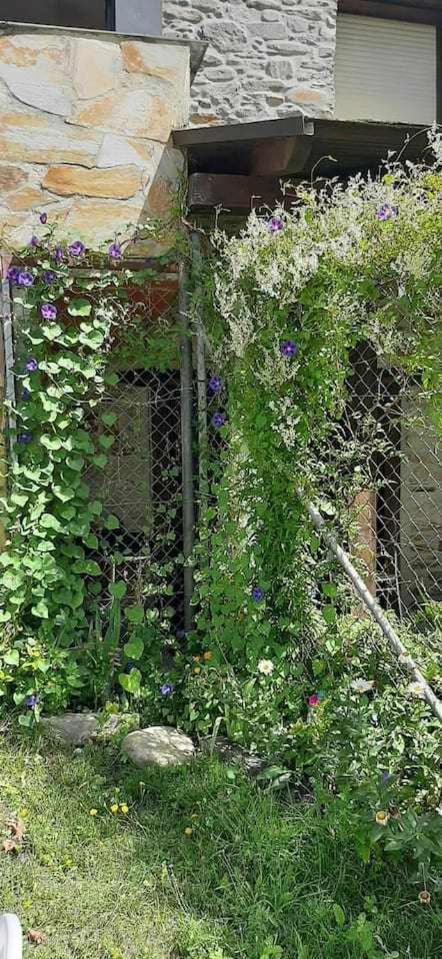 Casa Do Hiebra Alojamiento Rural Ribeira Sacra Castroncelos 外观 照片