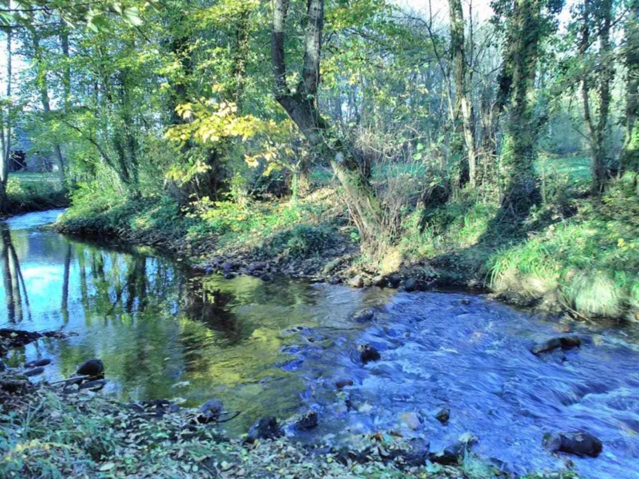 Casa Do Hiebra Alojamiento Rural Ribeira Sacra Castroncelos 外观 照片